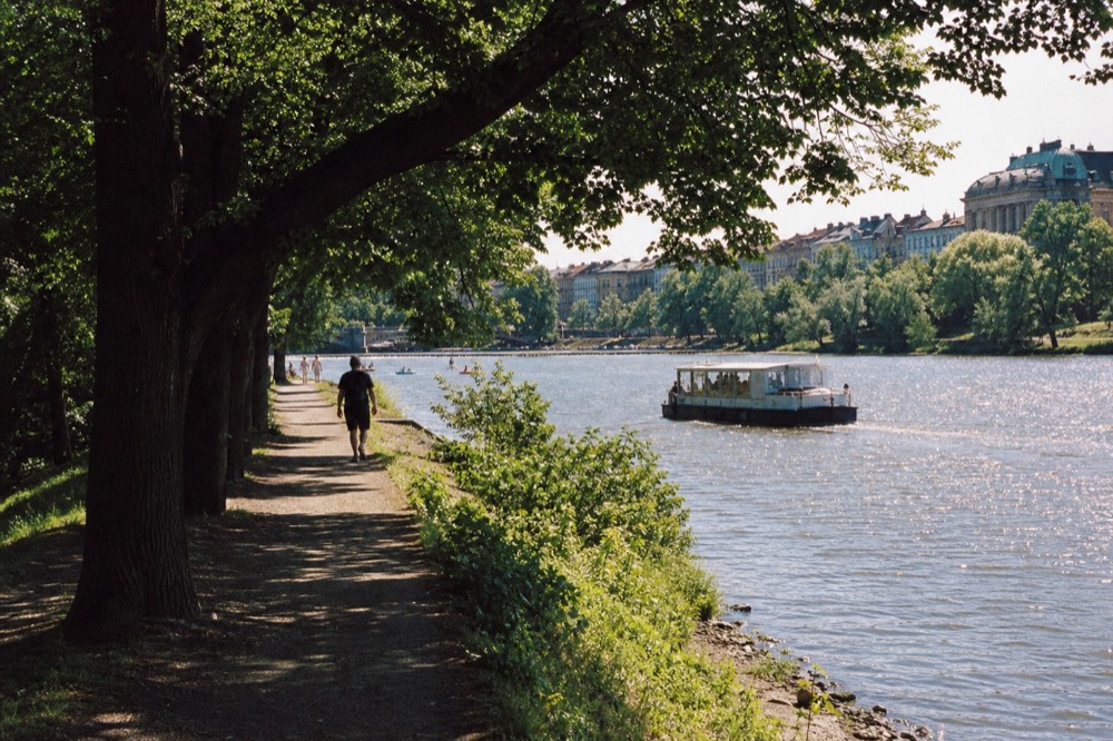 A green riverside path under summer trees beside the Vltava, bright midday light, the water sparkling alongside